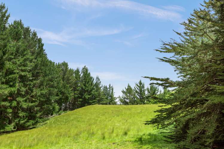 2069 Kahuranaki Road Elsthorpe_23