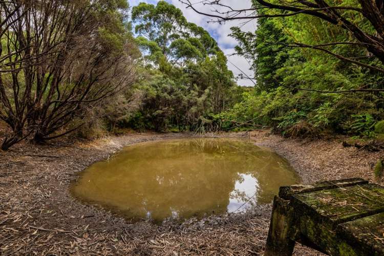 66a Rataroa Road Kaeo_23