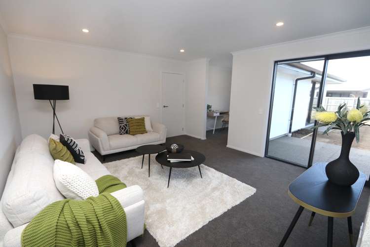 61 Tarbottons Road Tinwald_9