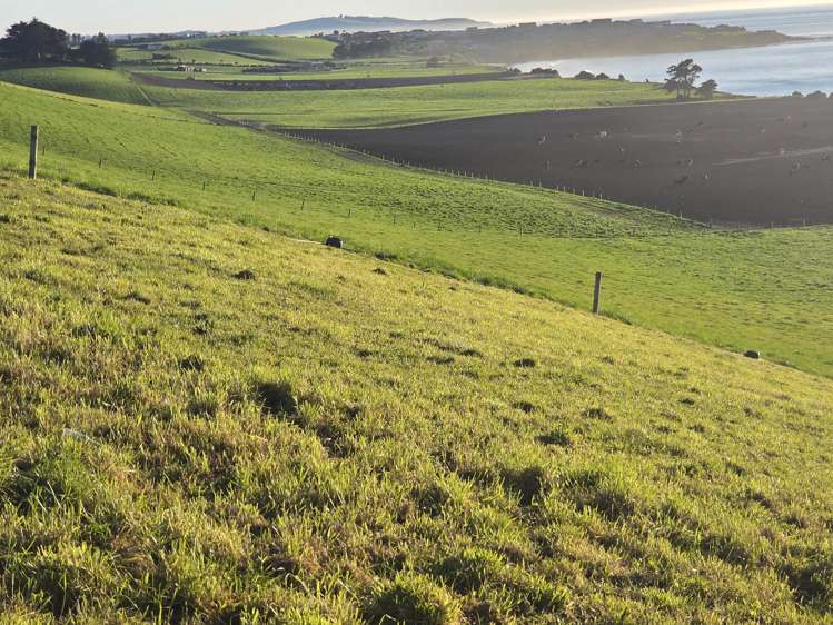 1183 Waianakarua Road Kakanui_7