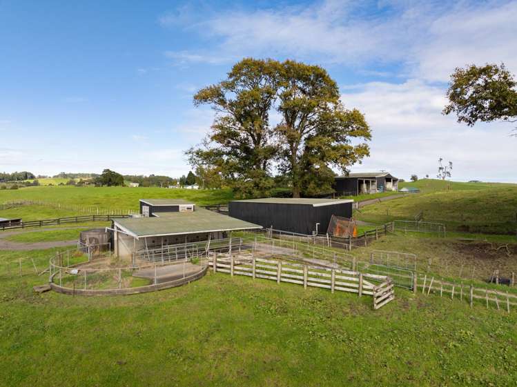 1239 Waotu Road Putaruru_17