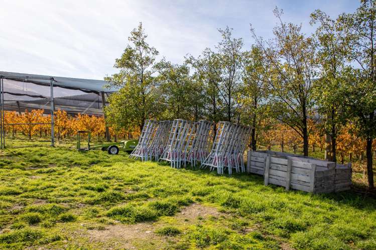 41 Cooper Lane Mount Pisa_7