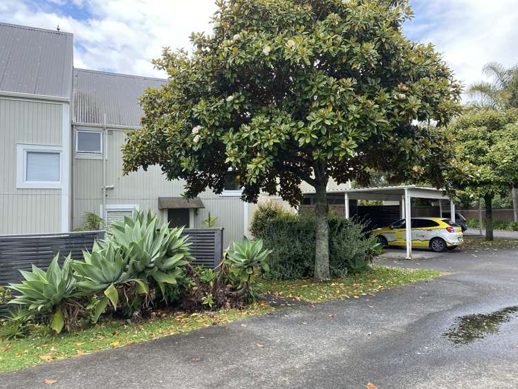 10/33 School Road Kingsland_7