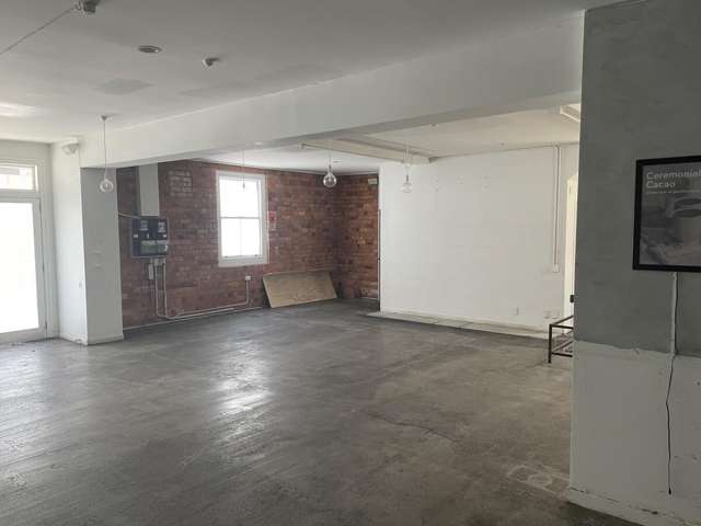 2 Williamson Avenue Grey Lynn_4