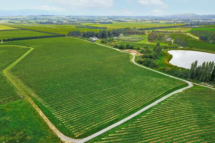 Lot 3 Willow Lane Martinborough_3