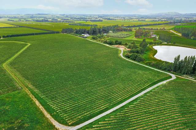 Lot 3 Willow Lane Martinborough_3