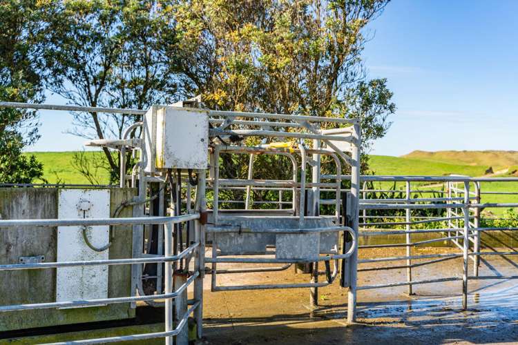 559 Mahuta Road Dargaville_10