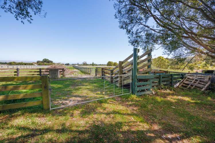 89 Ulysses Road Ashhurst_32