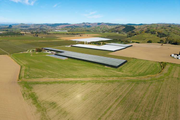 Lot 4 Judd Road Patutahi_6