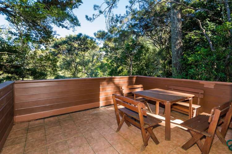 1 Bush View Lane Northcote Point_8