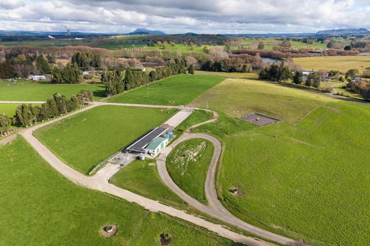 365 Halcrow Road Reporoa_35
