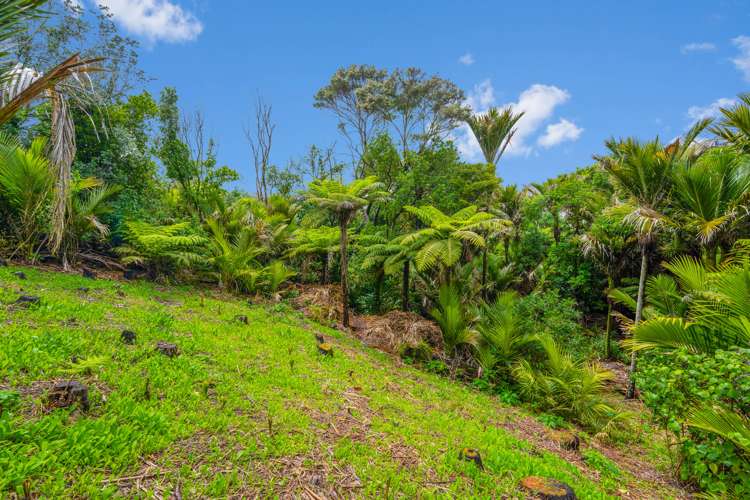 7 Onetangi Road Onetangi_8