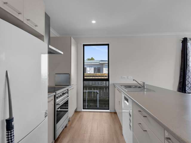 20a Anzac Avenue Morrinsville_4