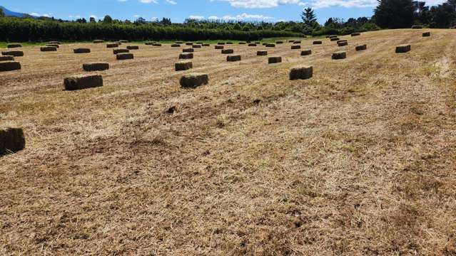 Lot 2 Dudley Road Upper Inglewood_2