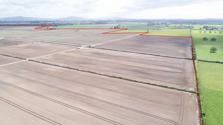 1291 Alexandra Road Waharoa_15