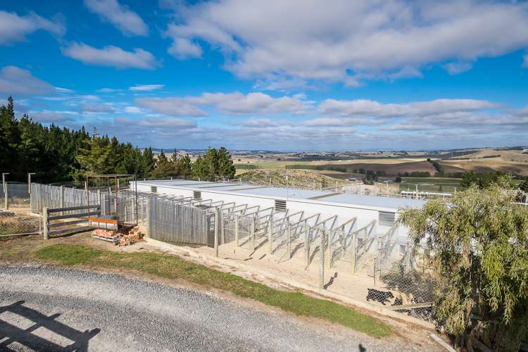 251 Fletcher Road Milton_23