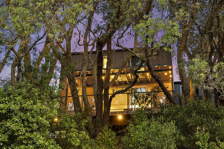 19 Foundries Lane Freemans Bay_20