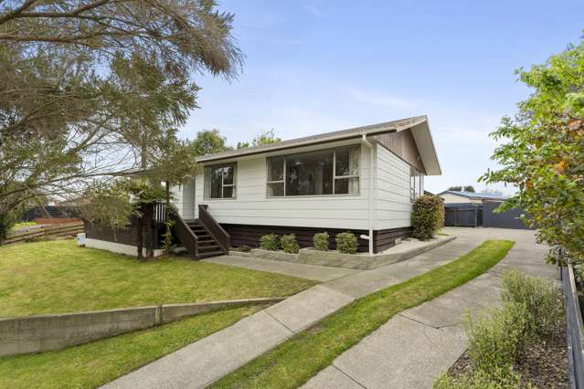 3 Grant Place Awapuni_1