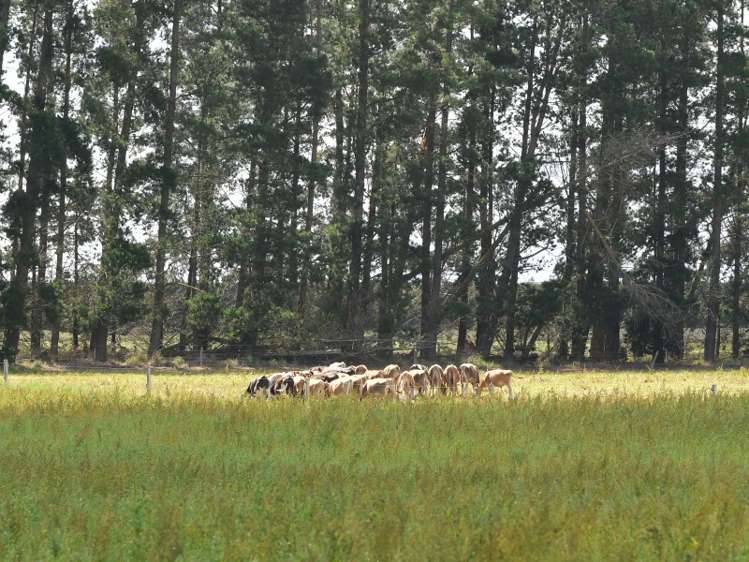 4364 Main South Road Bankside_5