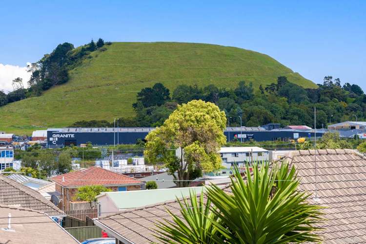 1/6 Green Road Panmure_11