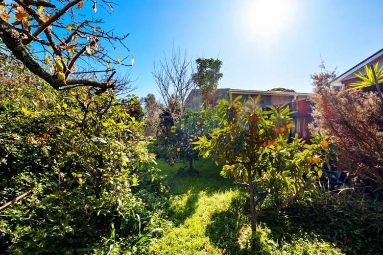 24 Seymour Street Waitara_21