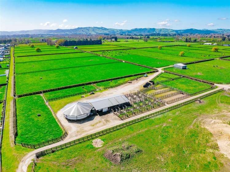 122 Rotoorangi Road Cambridge_32