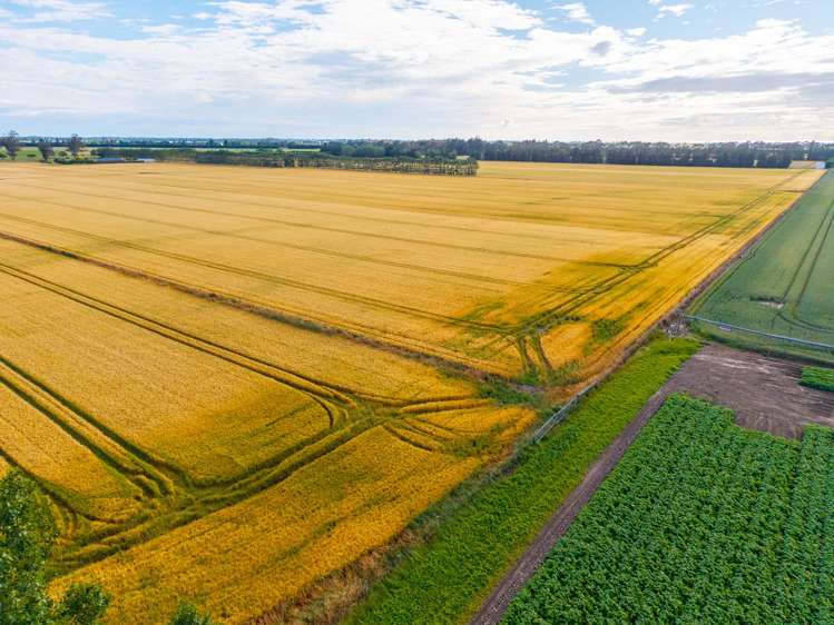 215 Falvey Road Levels_5