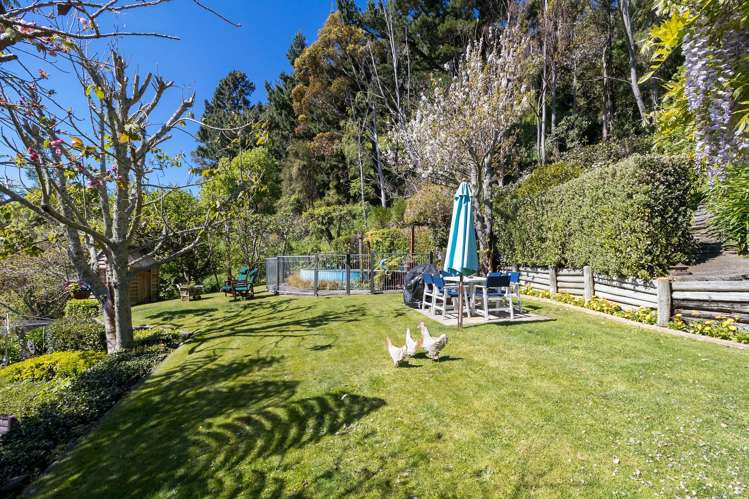 37 Brunner Street Nelson South_20