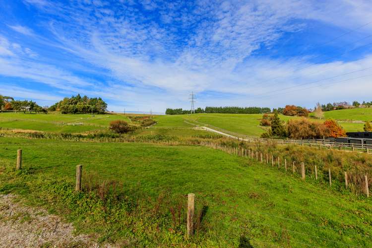 53 Follies Way Dairy Flat_14