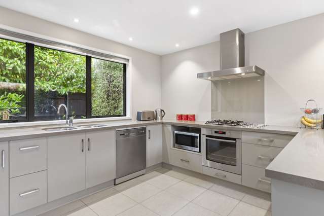 55 Ina Ville Drive Pukekohe_3