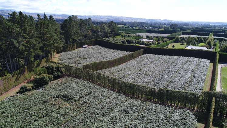 560 Belk Road Kaimai_1