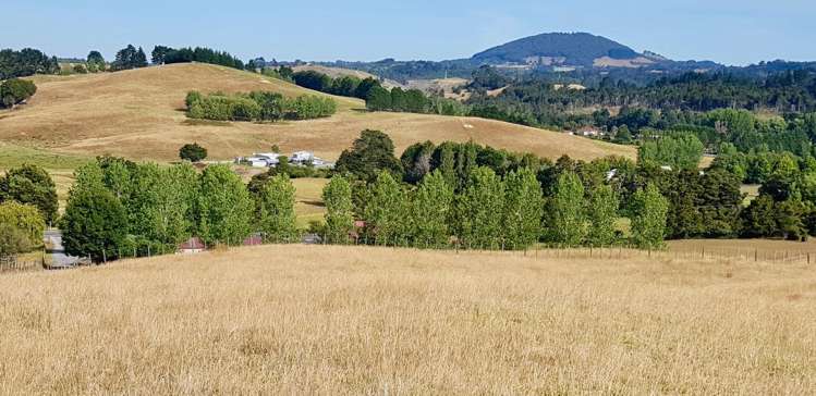 47 Tavinor Road Otaika_4