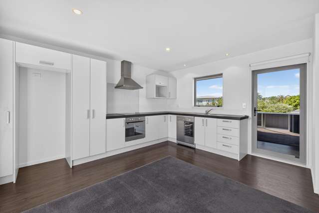 524D Tuam Street Phillipstown_3