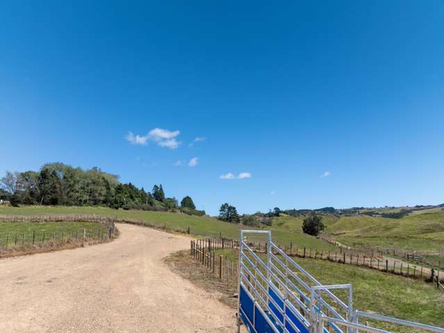 356 Klondyke Road Onewhero_3