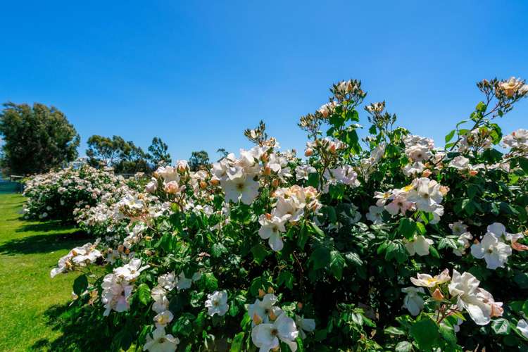 136 Hardings Road Riverlands_15