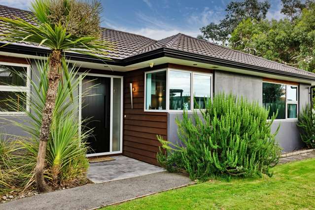 50 Hoffman Court Waikiwi_2