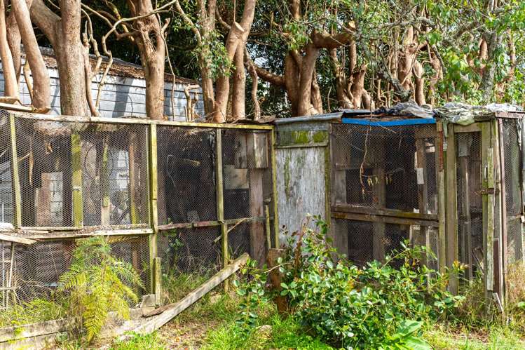 15-17 Campbell Terrace Dargaville_22