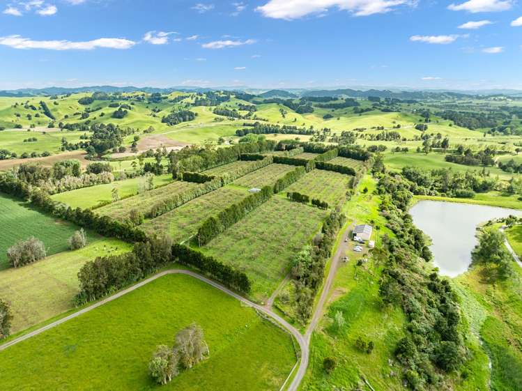 100E Hodge Road Ruatangata West_13