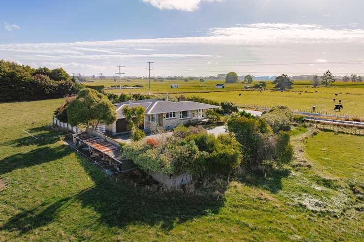 109 Kairanga Bunnythorpe Road Bunnythorpe_39