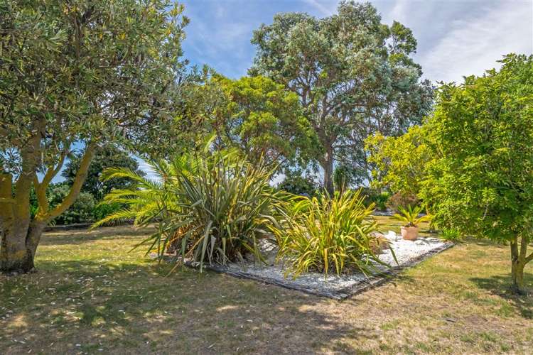 216 Neal Road Spring Creek_22