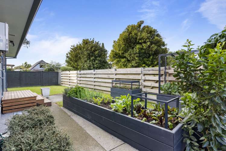 11a Brinkley Road Otumoetai_15