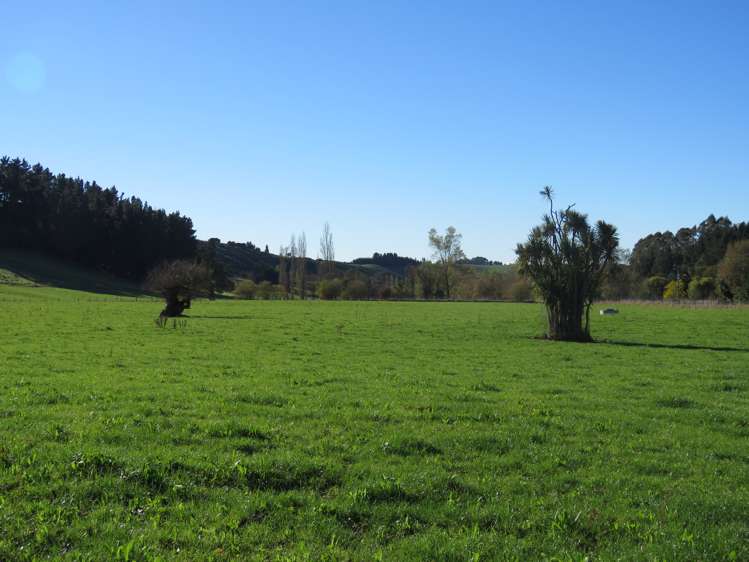 60 Woodside Road Geraldine_3