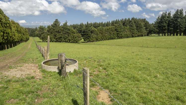 189 Thorburn Road Dannevirke_18