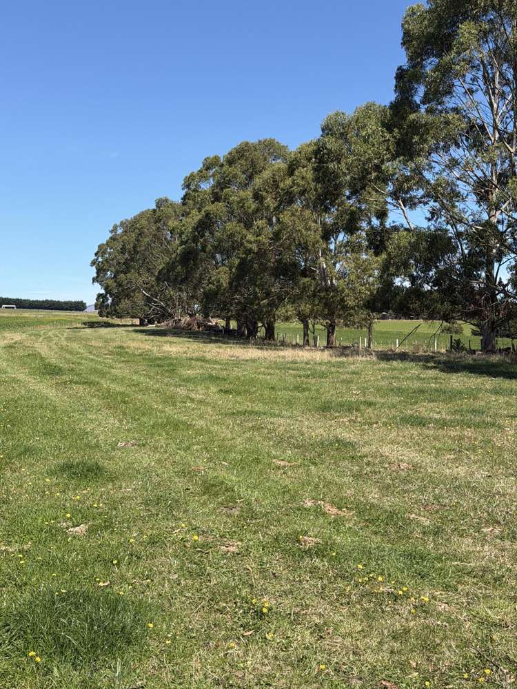 675 Black Bridge Road Ashley Downs_17