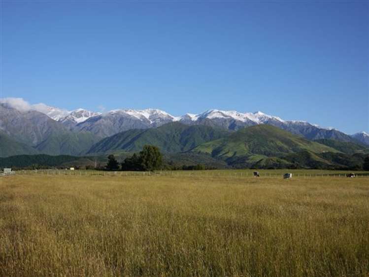 20d Kanuka Lane Hapuku_0