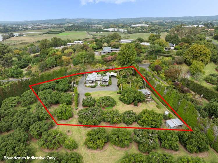 317 Pahoia Road Whakamarama_21