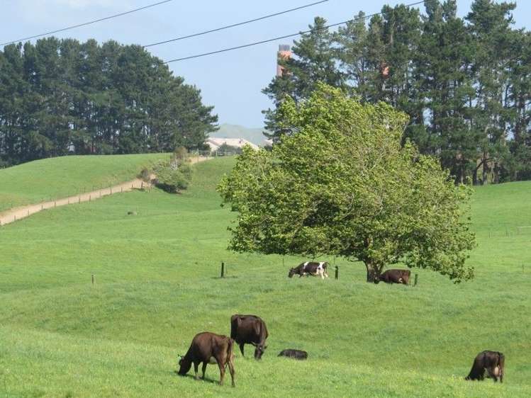 114 Pukekapia Road Ruawaro_2