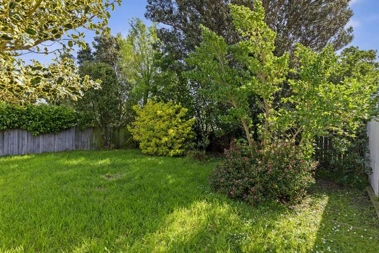 5 Oriental Street Petone_21