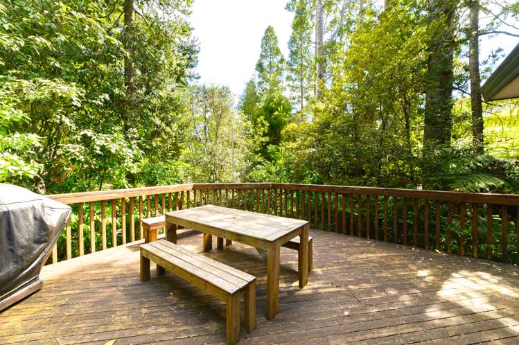 73d Konini Road Titirangi_6