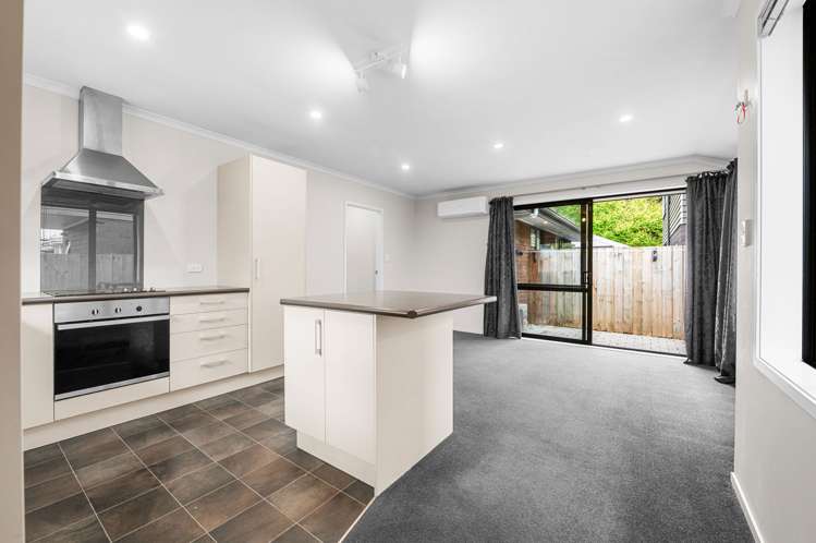 9/20 Greensboro Street Hamilton East_3